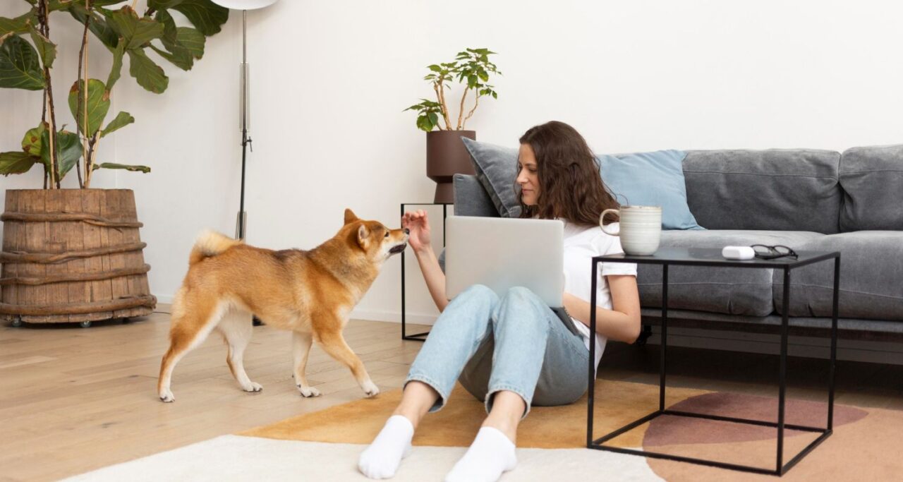 Pet-Proof Flooring Solutions: The Best Tile Options From Antica Ceramica