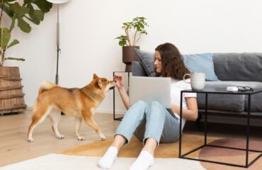Pet-Proof Flooring Solutions: The Best Tile Options From Antica Ceramica